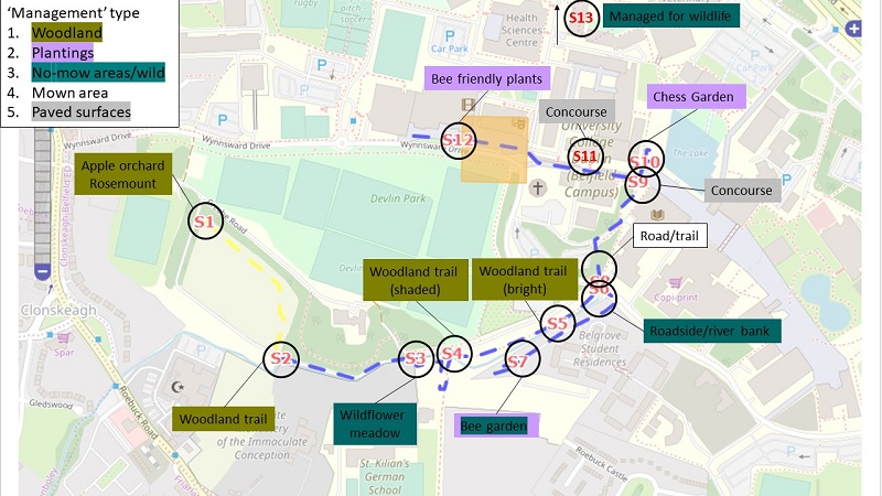 Map showing overview of the UCD bumblebee monitoring transect